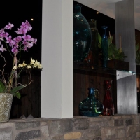 523194_388864584518669_713319768_n