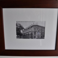 579656_388864531185341_309991036_n