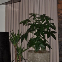 60616_388864574518670_855085097_n